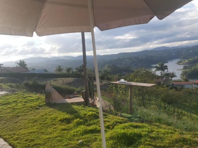 Chácara à venda Centro com 1604m² e 3 quartos por R$ 260.000 - 1522997525-img-20220612-wa0006.jpg