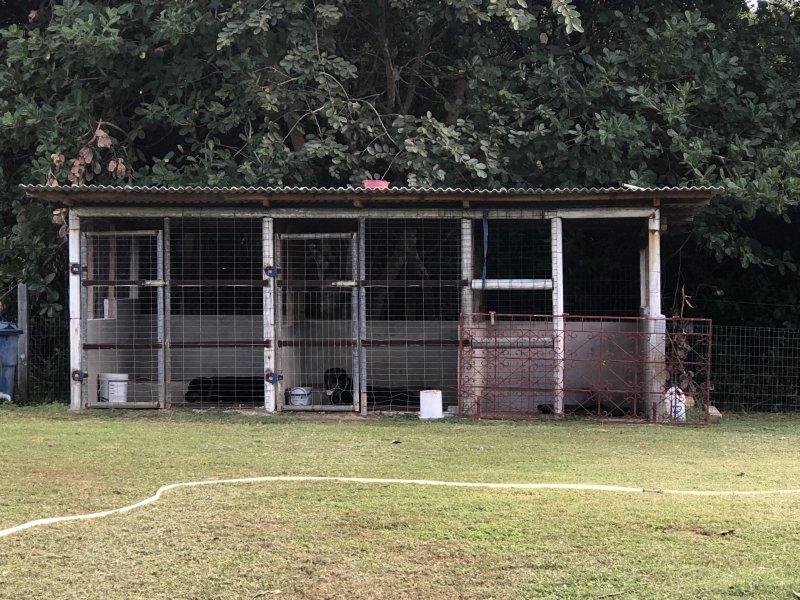 Sítio à venda Centro com 5260m² e 4 quartos por R$ 750.000 - 296827130-9bd980d2-b266-46c1-a305-22ae11aa500b.jpeg