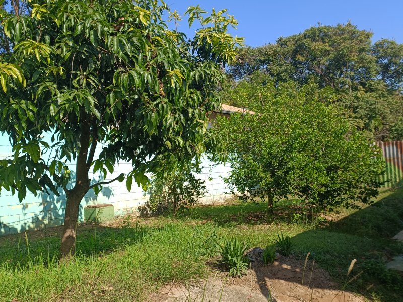 Chácara à venda Village Campinas com 2000m² e 3 quartos por R$ 1.250.000 - 1362398830-img-20220701-132909.jpg