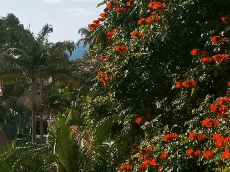 Apartamento à venda Ingleses Sul com 70m² e 2 quartos por R$ 278.000 - 1720888152-vista-do-mar.jpeg