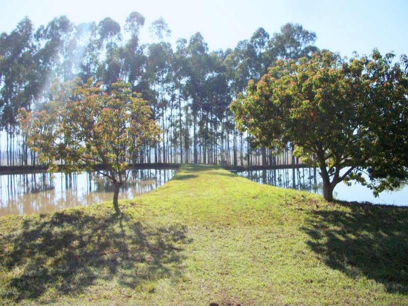 Fazenda à venda Centro com 29863m² e 3 quartos por R$ 28.000.000 - 527895086-fazenda05.jpg