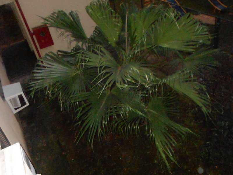 Apartamento à venda Inhoaíba com 58m² e 2 quartos por R$ 145.000 - 268802735-dscn0108.JPG