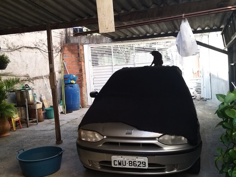 Casa à venda Jardim Joana D'arc com 40m² e 2 quartos por R$ 270.000 - 303291675-20220702-105251.jpg