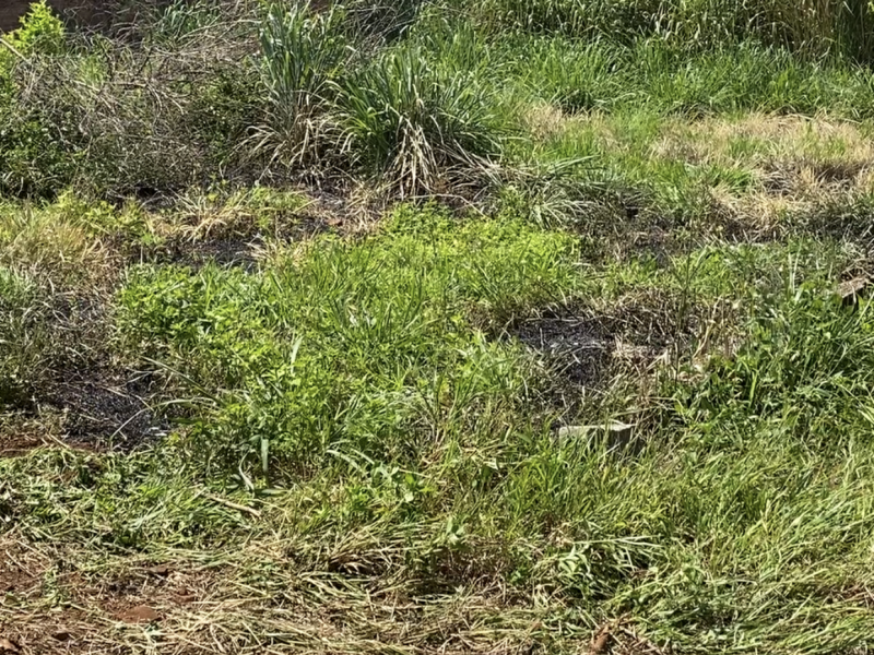 Terreno à venda Lot. Solar Santa Rita com 380m² e 1 quarto por R$ 120.000 - 674278974-45cd008b-a547-4b79-a704-1eb5644b5e66.png