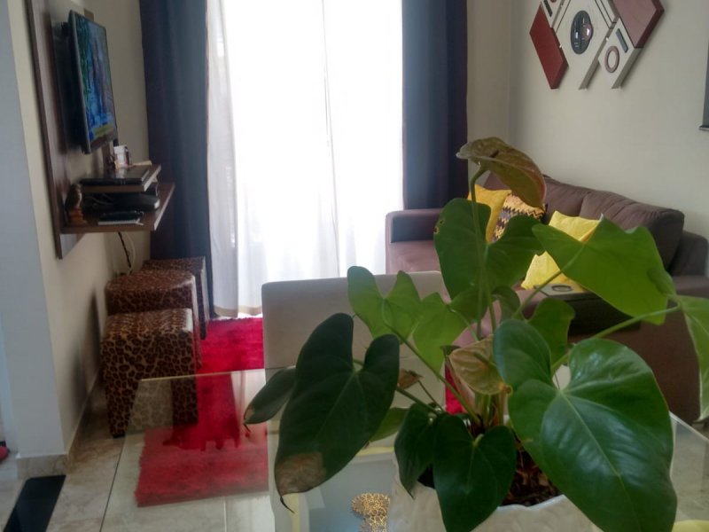 Apartamento à venda Santa Maria com 49m² e 2 quartos por R$ 248.900 - 1005513122-whatsapp-image-2022-07-03-at-15.jpeg