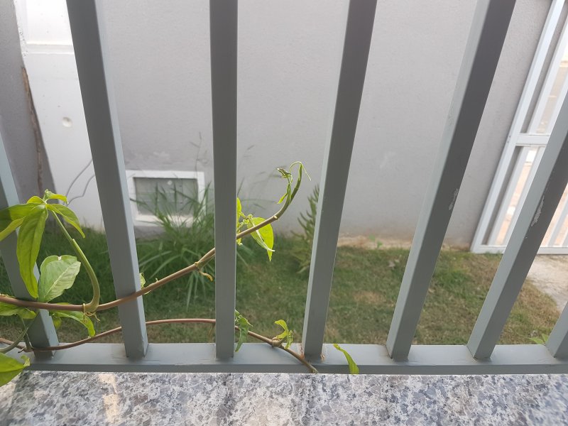 Casa à venda Nova trieste  com 81m² e 2 quartos por R$ 220.000 - 1590634179-02.jpg