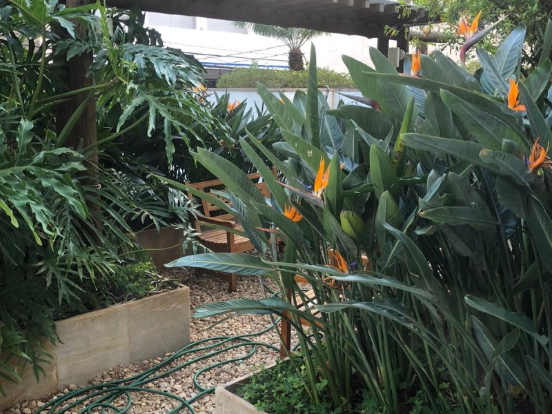 Apartamento à venda Barra Funda com 57m² e 2 quartos por R$ 678.400 - 1777585431-whatsapp-image-2022-06-24-at-07.jpeg