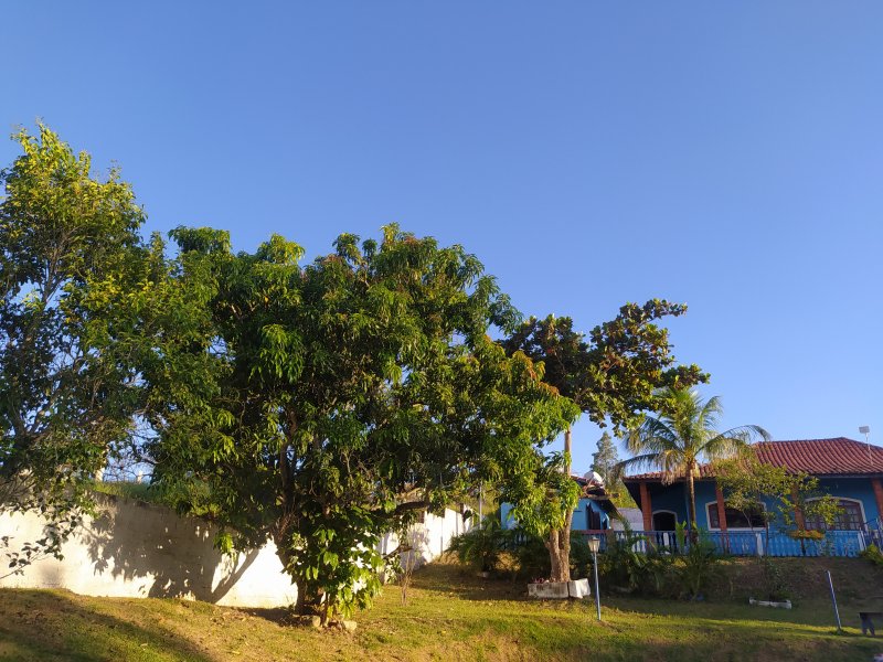 Chácara à venda Centro com 2000m² e 4 quartos por R$ 450.000 - 246180103-img-20220326-172701.jpg