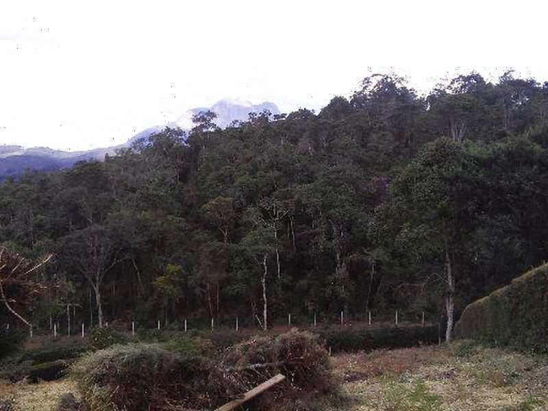 Terreno à venda Guaturinho com 1758m² e 1 quarto por R$ 900.000 - 155396613-08.jpg
