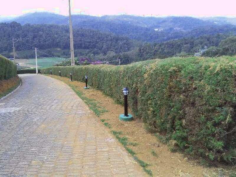 Terreno à venda Guaturinho com 1758m² e 1 quarto por R$ 900.000 - 230566676-06.jpg
