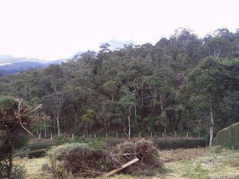 Terreno à venda Guaturinho com 1758m² e 1 quarto por R$ 900.000 - 417506235-07.jpg