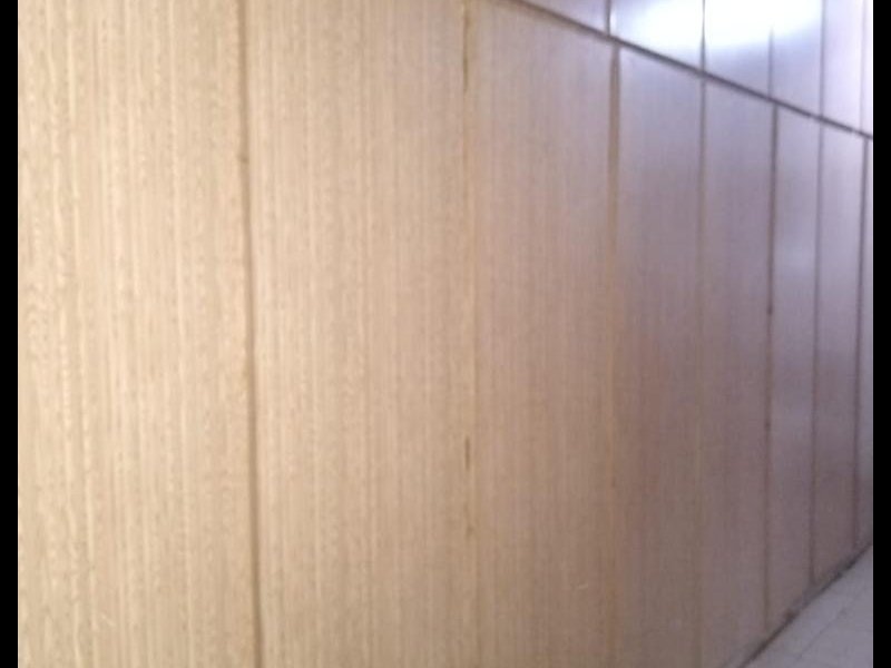 Chácara à venda Taquari Ponte com 4932m² e 3 quartos por R$ 370.000 - 1265083539-whatsapp-image-2022-07-12-at-18.jpeg