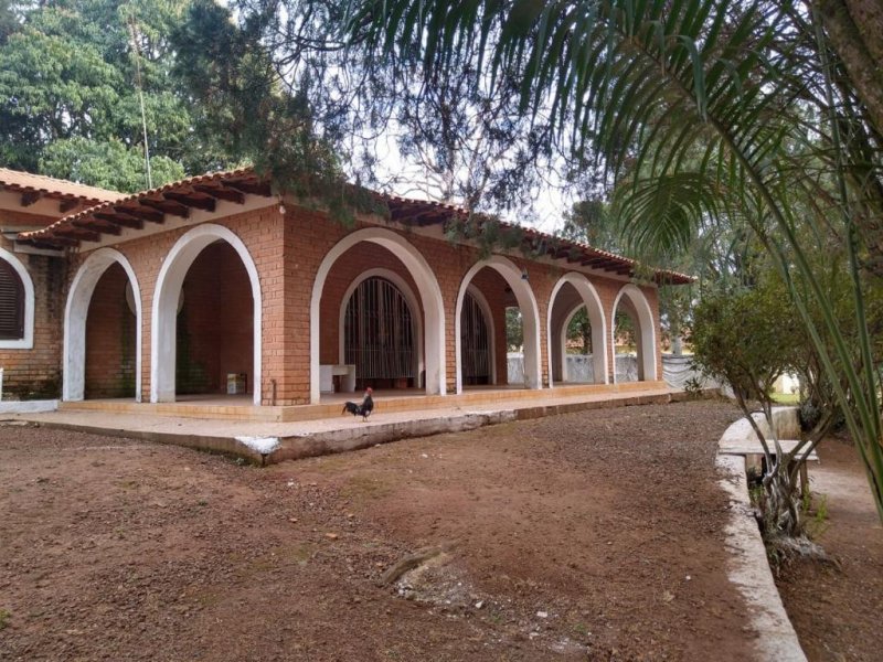 Chácara à venda Taquari Ponte com 4932m² e 3 quartos por R$ 370.000 - 1284938042-whatsapp-image-2022-07-12-at-18.jpeg