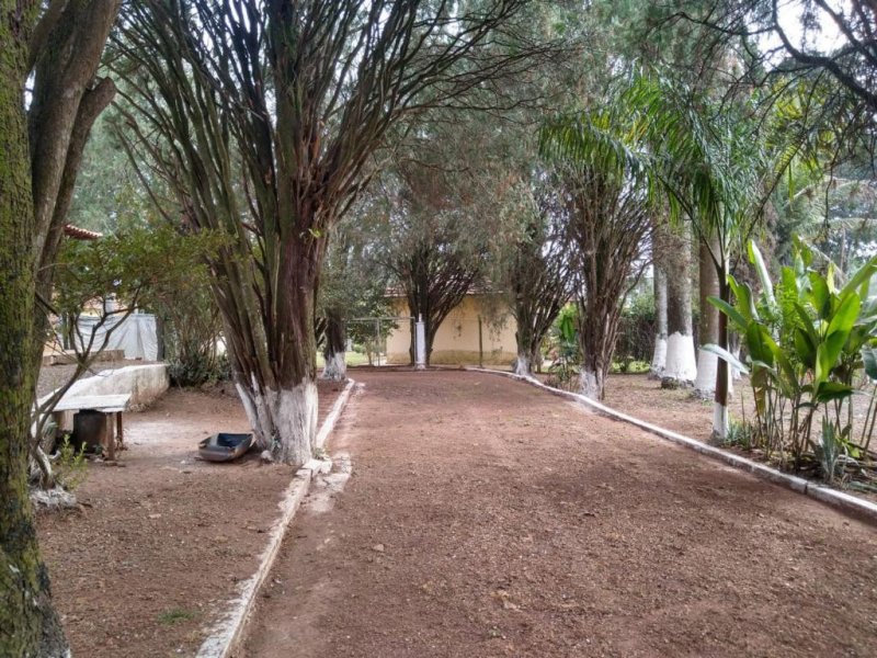 Chácara à venda Taquari Ponte com 4932m² e 3 quartos por R$ 370.000 - 1352774376-whatsapp-image-2022-07-12-at-18.jpeg