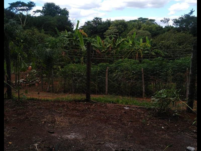 Chácara à venda Taquari Ponte com 4932m² e 3 quartos por R$ 370.000 - 1376926138-whatsapp-image-2022-07-12-at-18.jpeg