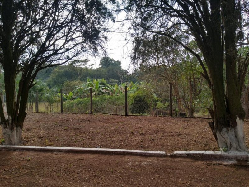 Chácara à venda Taquari Ponte com 4932m² e 3 quartos por R$ 370.000 - 146098174-whatsapp-image-2022-07-12-at-18.jpeg