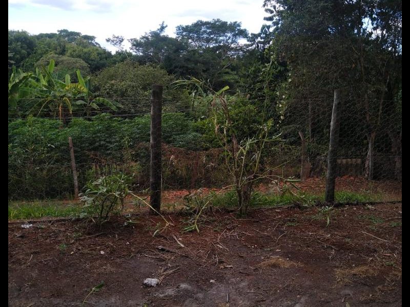 Chácara à venda Taquari Ponte com 4932m² e 3 quartos por R$ 370.000 - 1496095451-whatsapp-image-2022-07-12-at-18.jpeg