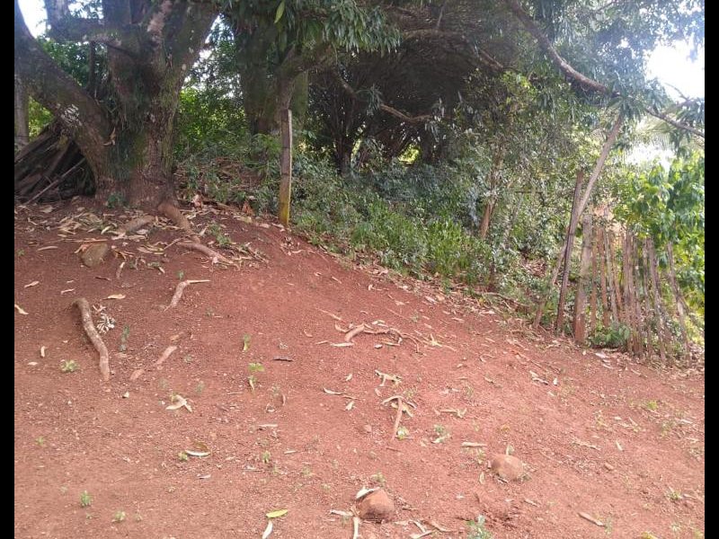 Chácara à venda Taquari Ponte com 4932m² e 3 quartos por R$ 370.000 - 1676371753-whatsapp-image-2022-07-12-at-18.jpeg