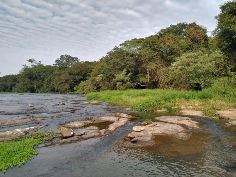 Chácara à venda Taquari Ponte com 4932m² e 3 quartos por R$ 370.000 - 288287161-whatsapp-image-2022-07-12-at-18.jpeg