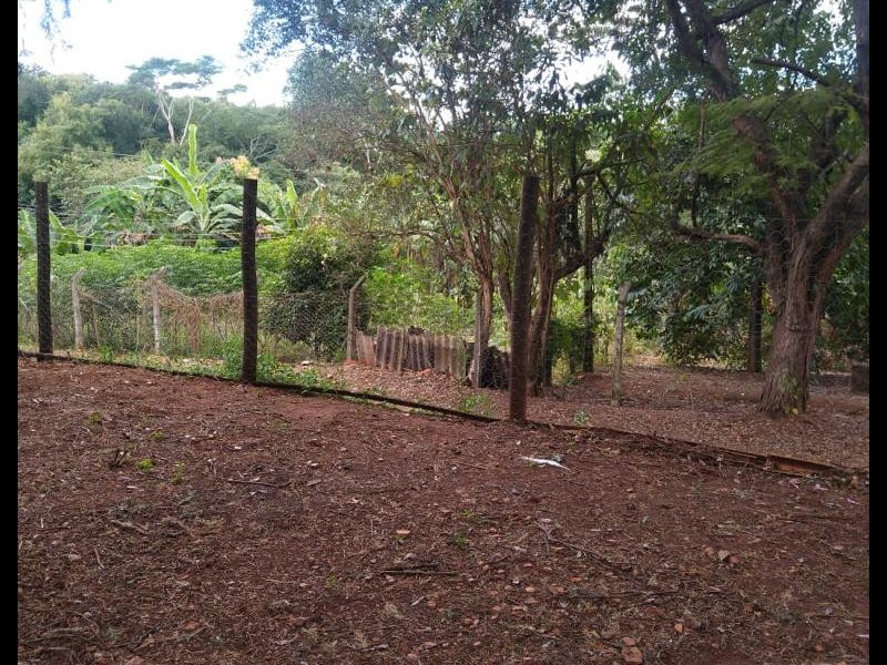 Chácara à venda Taquari Ponte com 4932m² e 3 quartos por R$ 370.000 - 408333419-whatsapp-image-2022-07-12-at-18.jpeg