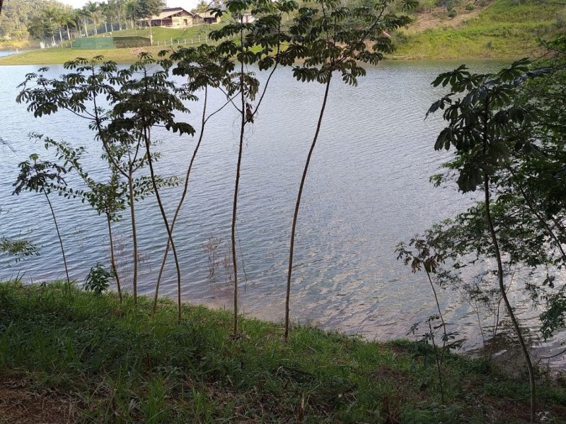 Terreno à venda Centro com 1299m² e 1 quarto por R$ 440.000 - 1094316872-img-20190620-wa0061.jpeg