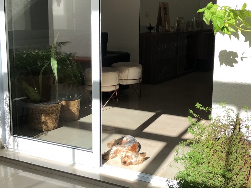 Apartamento à venda Vila Isa com 180m² e 3 quartos por R$ 1.100.000 - 1202917381-be0d1eab-288e-422f-a169-72ebe9cbd4aa.jpeg