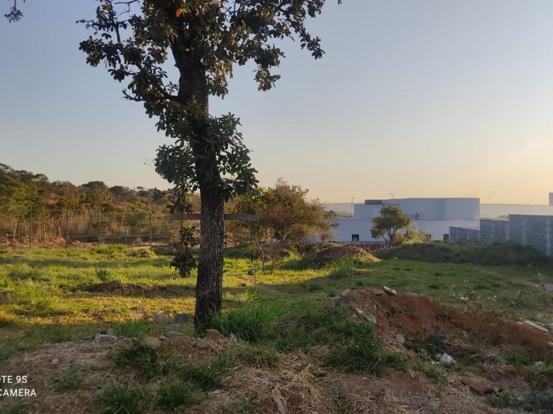 Terreno à venda Centro com 536m² e 1 quarto por R$ 450.000 - 722415321-whatsapp-image-2022-06-18-at-02.jpeg