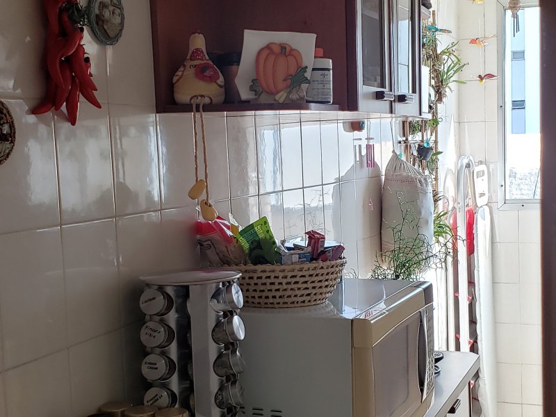 Apartamento à venda Vila Santa Catarina com 57m² e 2 quartos por R$ 390.000 - 271048709-inbound1010805868844167768.jpg