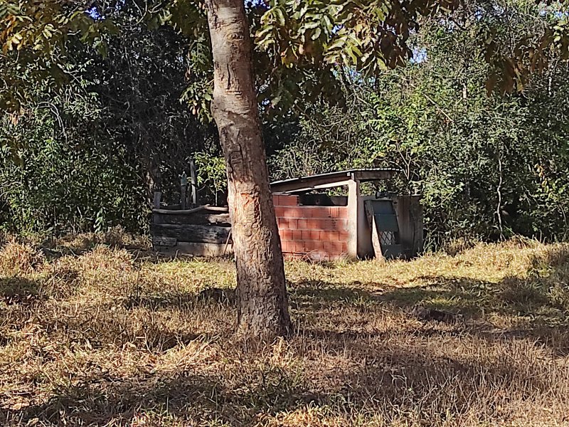 Sítio à venda Centro com 42m² e 3 quartos por R$ 700.000 - 1148450007-img-20220712-152023.jpg