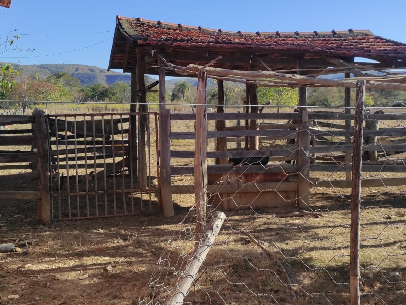 Sítio à venda Centro com 42m² e 3 quartos por R$ 700.000 - 1727844768-img-20220712-151859.jpg