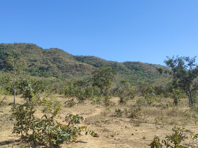 Sítio à venda Centro com 42m² e 3 quartos por R$ 700.000 - 2126195318-img-20220712-100549.jpg