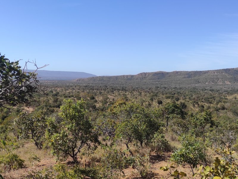 Sítio à venda Centro com 42m² e 3 quartos por R$ 700.000 - 716527782-img-20220712-104842.jpg