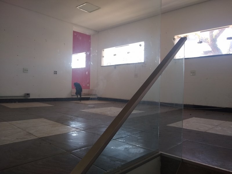 Casa à venda Vila Alpina com 237m² e 3 quartos por R$ 1.200.000 - 1960749111-img-20200806-115837048.jpg