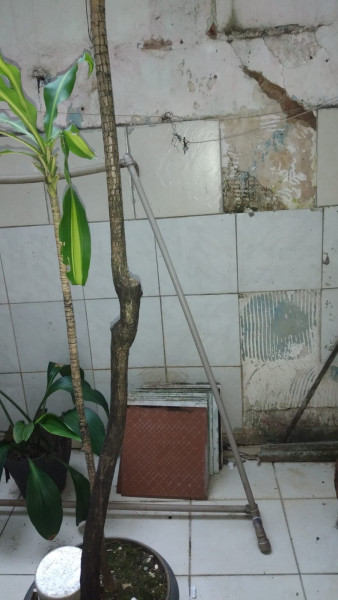 Casa à venda Centro com 169m² e 4 quartos por R$ 475.000 - 31197715-img-20221104-wa0003.jpg