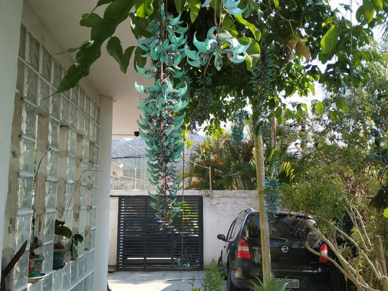 Casa de condomínio à venda Vargem Grande com 420m² e 5 quartos por R$ 2.600.000 - 1658865650-img-20190907-090407.jpg