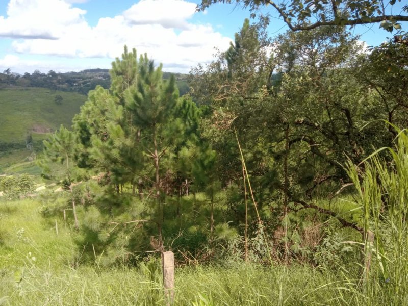 Terreno à venda centro com 1000m² e 1 quarto por R$ 130.000 - 118617058-img-20210207-wa0036.jpg