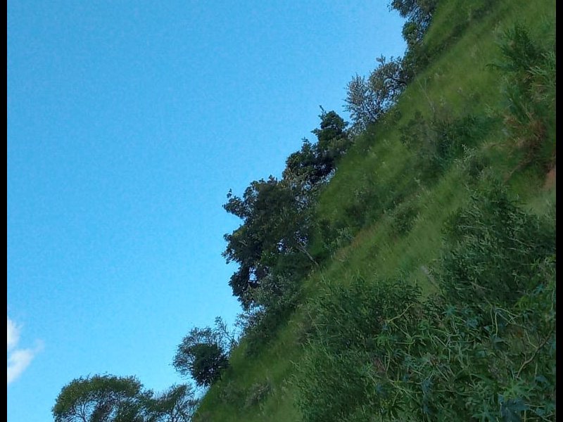 Terreno à venda centro com 1000m² e 1 quarto por R$ 130.000 - 2009825573-img-20210207-wa0026.jpg