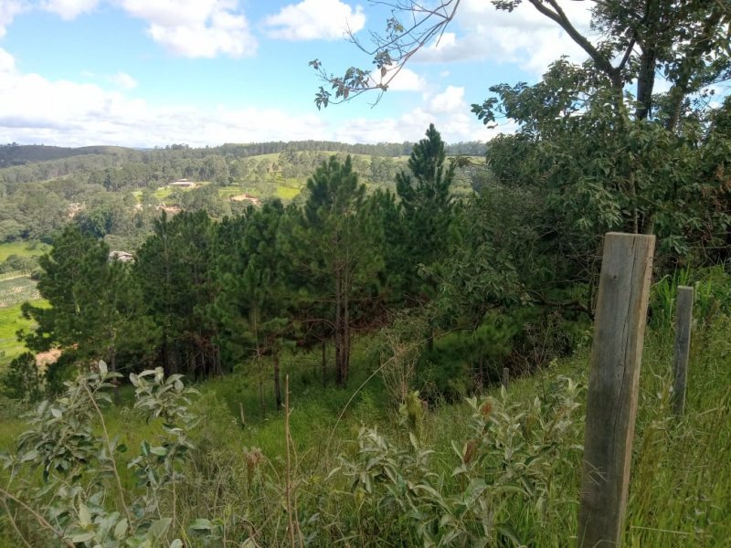 Terreno à venda centro com 1000m² e 1 quarto por R$ 130.000 - 927617847-img-20210207-wa0029.jpg