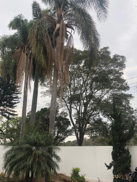 Casa à venda Nova Gardênia com 230m² e 3 quartos por R$ 1.600.000 - 115194957-42.jpg