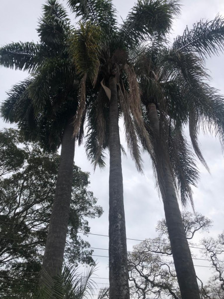 Casa à venda Nova Gardênia com 230m² e 3 quartos por R$ 1.600.000 - 1728940089-43.jpg