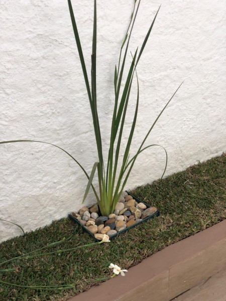 Casa à venda Nova Gardênia com 230m² e 3 quartos por R$ 1.600.000 - 446614987-32.jpg