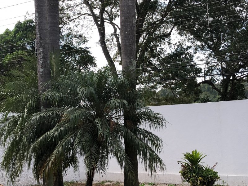 Casa à venda Nova Gardênia com 230m² e 3 quartos por R$ 1.600.000 - 495175089-6bd8145a-e717-492e-b5ae-cb215c055ad1.jpeg