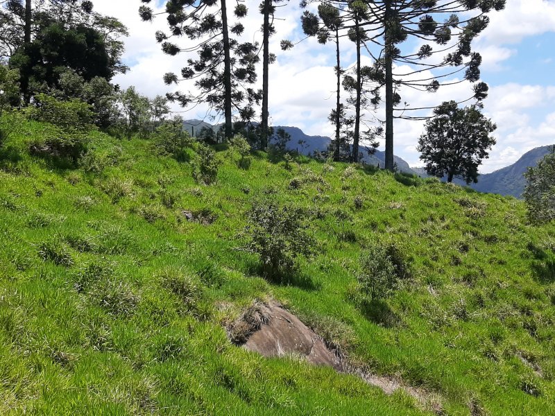 Terreno à venda Serrano com 30000m² e 1 quarto por R$ 800.000 - 1068775611-20201129-120647.jpg