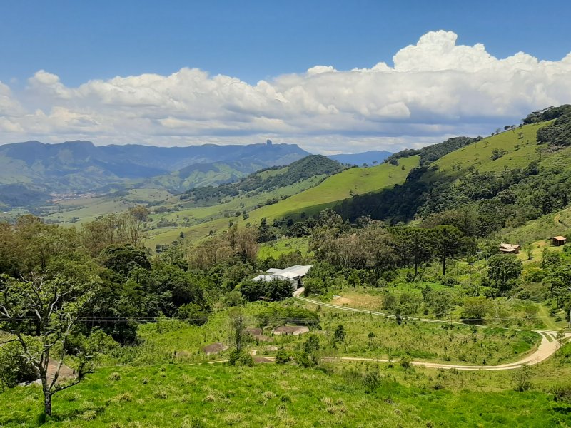 Terreno à venda Serrano com 30000m² e 1 quarto por R$ 800.000 - 1320208628-20201129-120650-vista.jpg