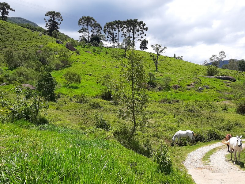 Terreno à venda Serrano com 30000m² e 1 quarto por R$ 800.000 - 1647503142-20201129-122050-principal-3.jpg