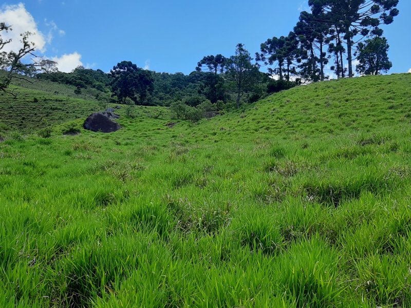 Terreno à venda Serrano com 30000m² e 1 quarto por R$ 800.000 - 930363344-20201129-115627.jpg