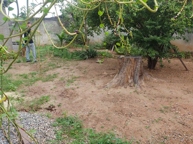 Casa à venda Irajá com 200m² e 3 quartos por R$ 490.000 - 1396602036-img-20220718-wa0127.jpg