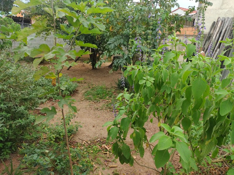 Casa à venda Irajá com 200m² e 3 quartos por R$ 490.000 - 1519715491-img-20220718-wa0129.jpg