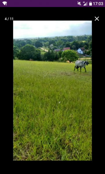 Sítio à venda Sambaetiba com 80m² e 1 quarto por R$ 600.000 - 142194846-capture-2019-08-07-17-03-51.png