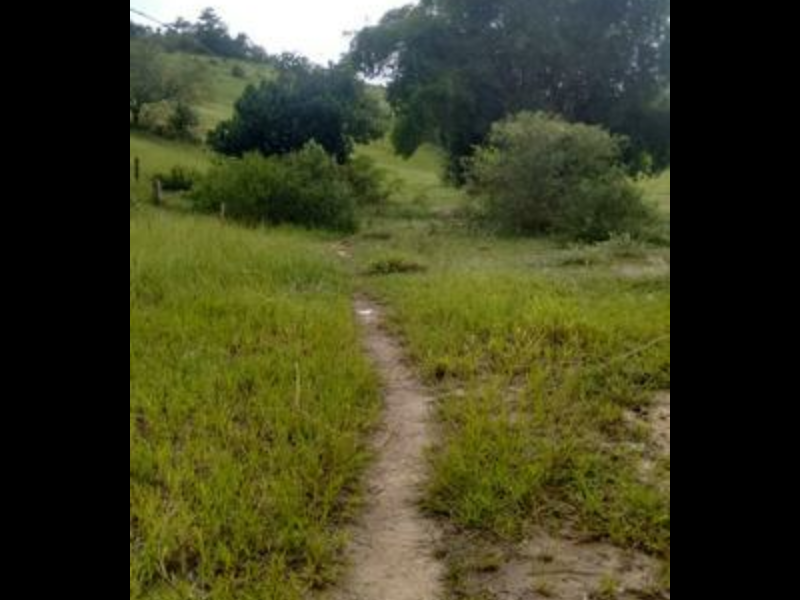 Sítio à venda Sambaetiba com 80m² e 1 quarto por R$ 600.000 - 2118446245-capture-2019-08-07-17-04-24.png